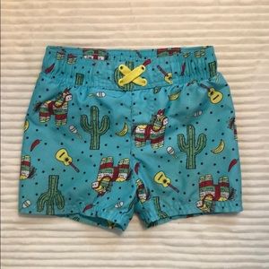 Fiesta swim trunks